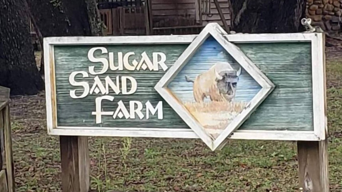 Perry House | Little Fish House Casita de Peces Sugar Sand Farm