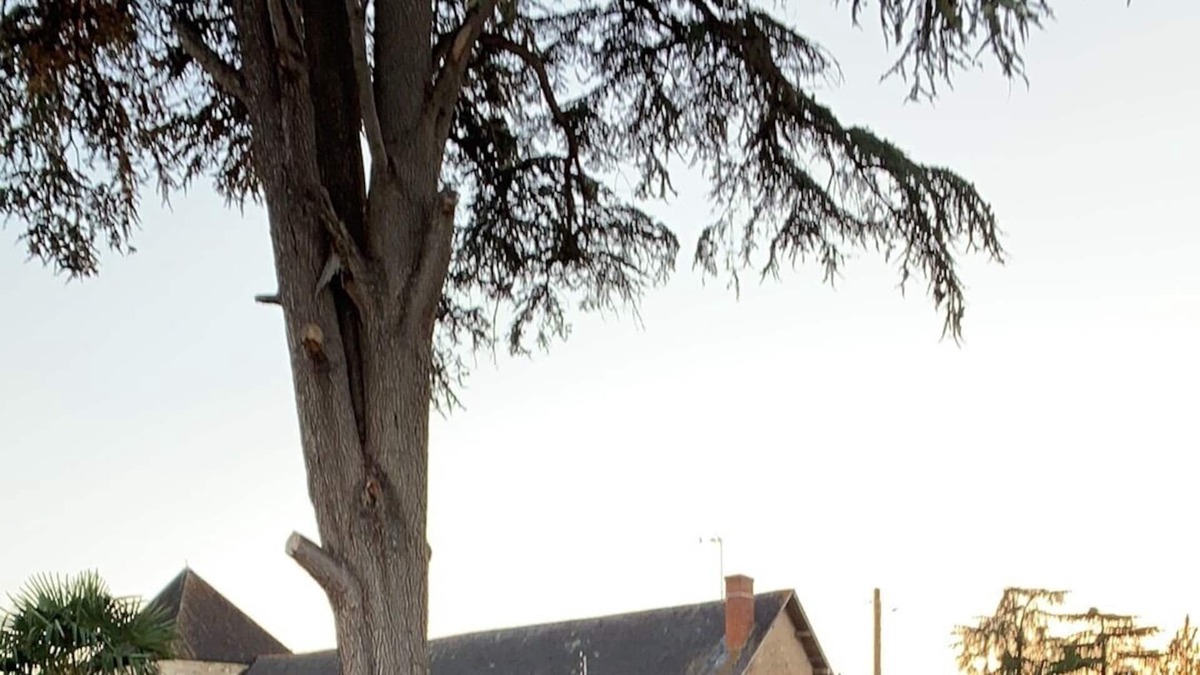 Brion-pres-Thouet Cottage | Little house