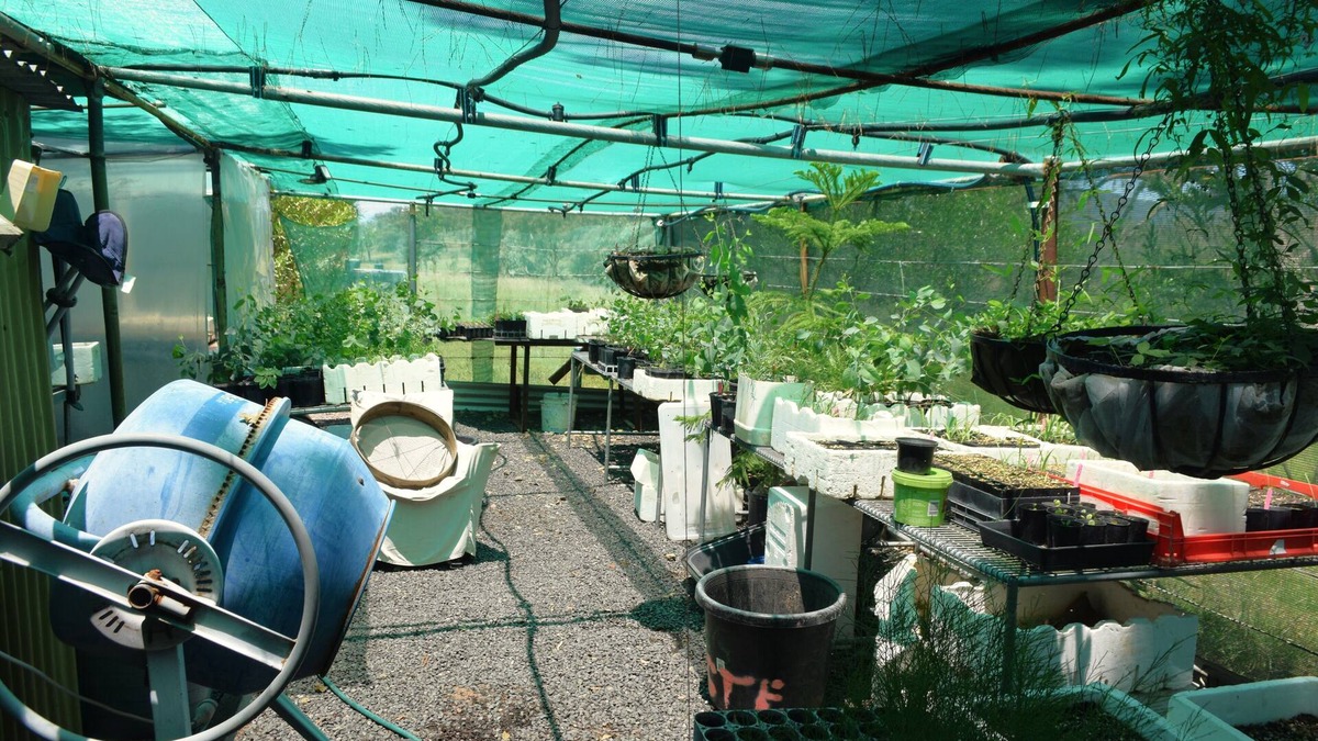 Wallabadah House | Little House in the Nursery