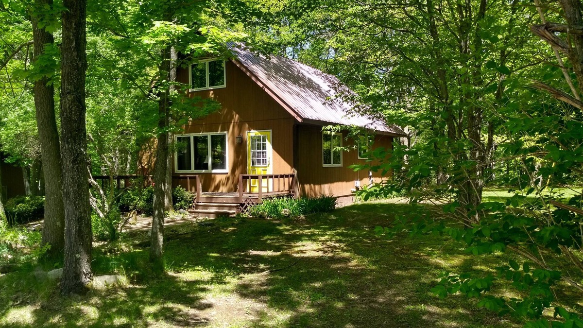 Ladysmith House | Little house in the woods but only 5 minutes from town!