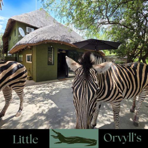 Marloth Park Apartment | Little Orvyll's