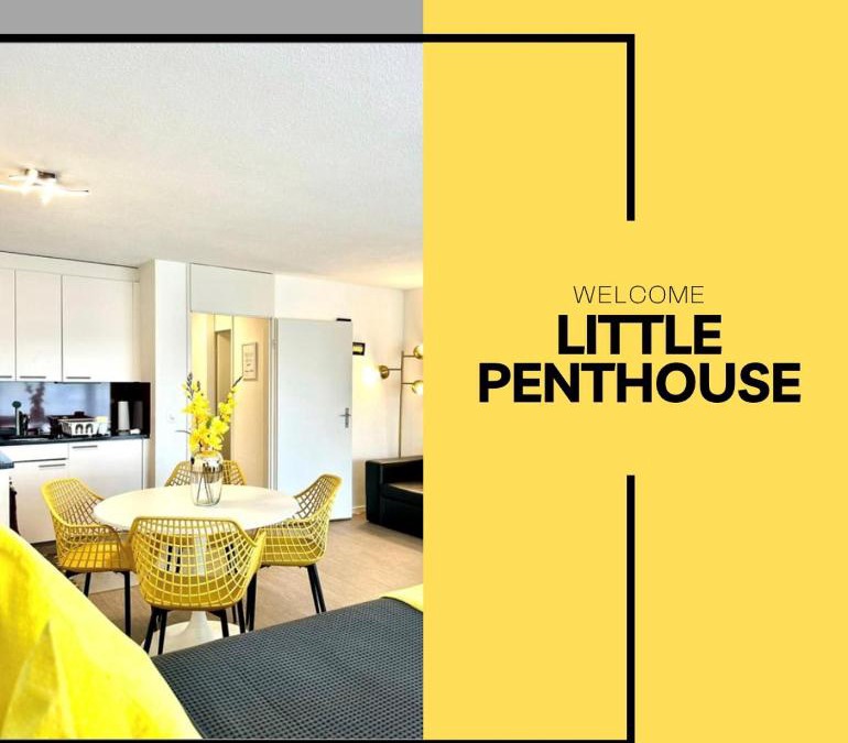 Dietikon District Apartment | Little Penthouse *