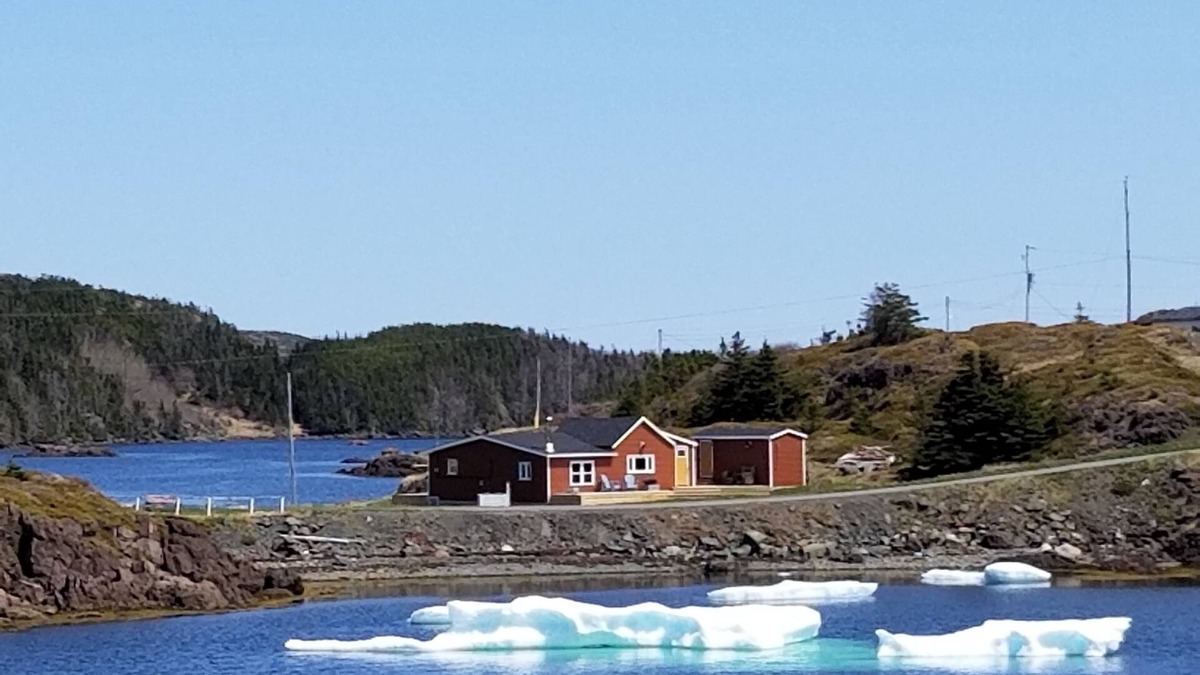 Newfoundland House | Little Pike Summary: