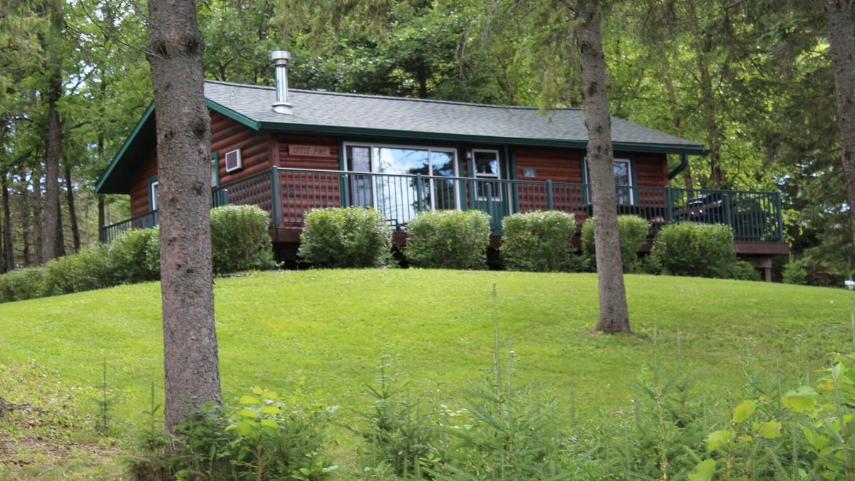Birchwood Cabin | Little Pine Cabin; a charming retreat for couples