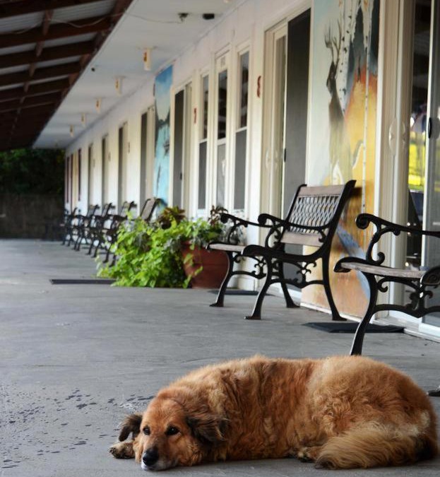 Leon Hotel | Little River Inn Motel