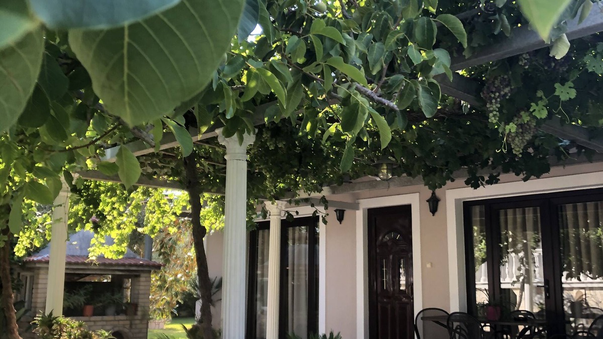 Pigadhakia House | Little villa