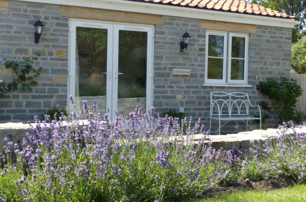 Meare Apartment | Littlemead - Newly renovated private studio near Glastonbury