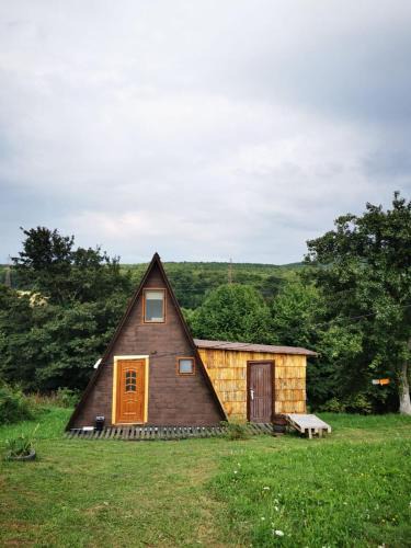 Carbunari House | Livada Becica