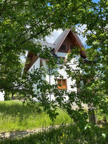 Izvoarele House | Livada lui Papu