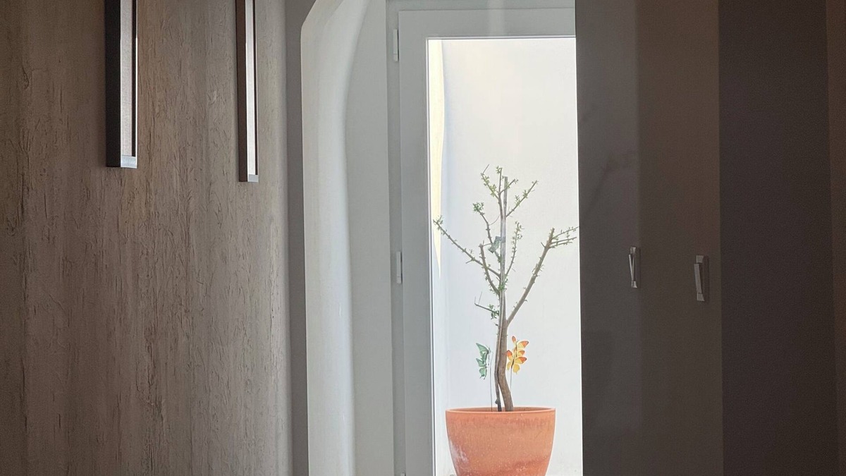 Estremoz Apartment | Live at SerpaPinto