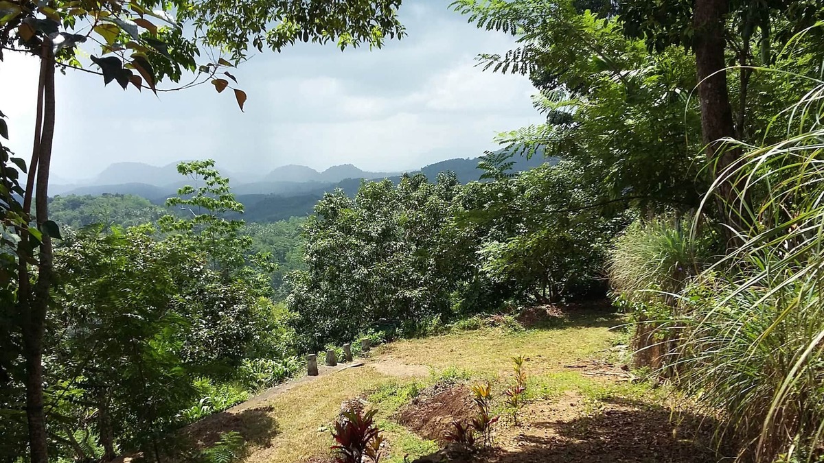 Puwakpitiya House | LIVE IN A TEA ESTATE : QUIET : GREEN : FOREST AT HIGH ELEVATION : SPLENDID VIEWS