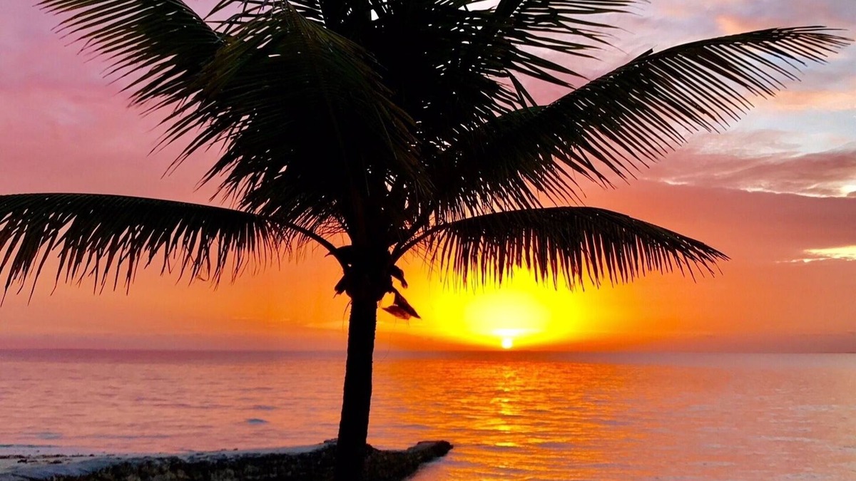 Treasure Cay Villa | LIVE IN STYLE BY THE SEA 4 BED WITH IN SUITE BATH DISCOUNTS AVAILABLE AUG-SEP