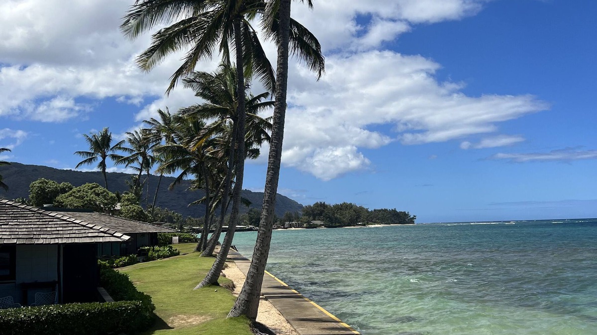 Waialua Condo | Live like a Local. Stay at a Beautiful Boutique Get Away Mokuleia Beach Colony