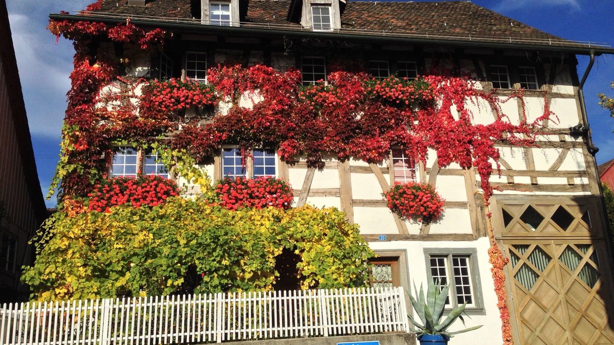 Andelfingen District Apartment | Living in a house with 300 Years history , 2 minutes to Rheinfall
