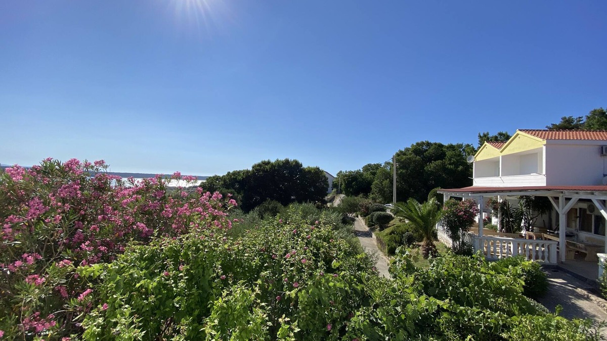 Rtina Resort | Living in the olive grove with a sea view