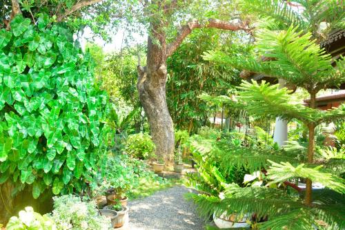 Polonnaruwa House | Livinginn Polonnaruwa