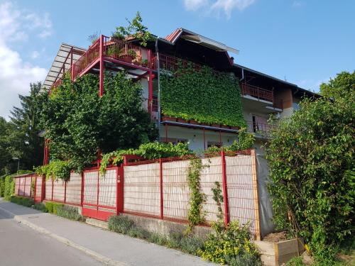 Ljubljana Apartment | Ljubljana's terrace