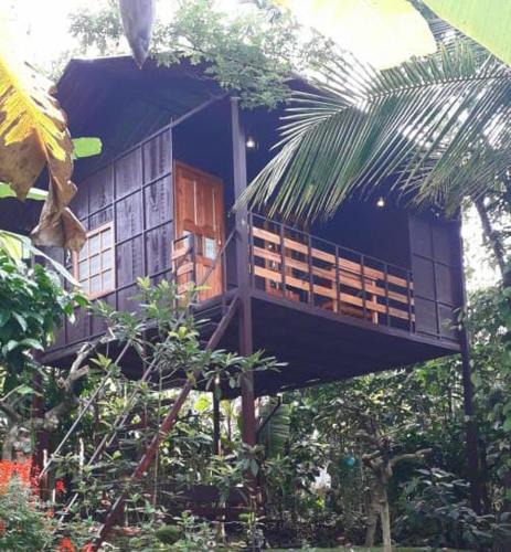Amalavayal House | Lo Adoro Tree Hut Tourist Homestays