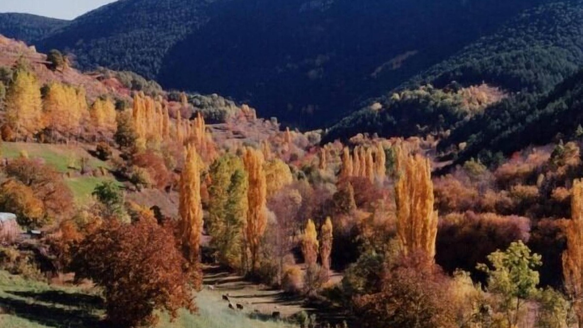Llagunes Cottage | lo pallé de lime bosch magnificent Pyrenees cottage 12 km from Sort