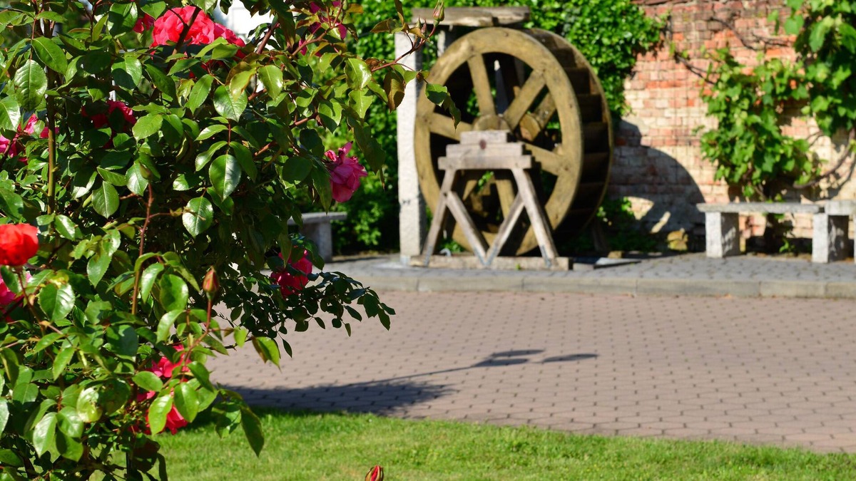 Langenau Hotel | Lobinger Hotel - Weisses Ross