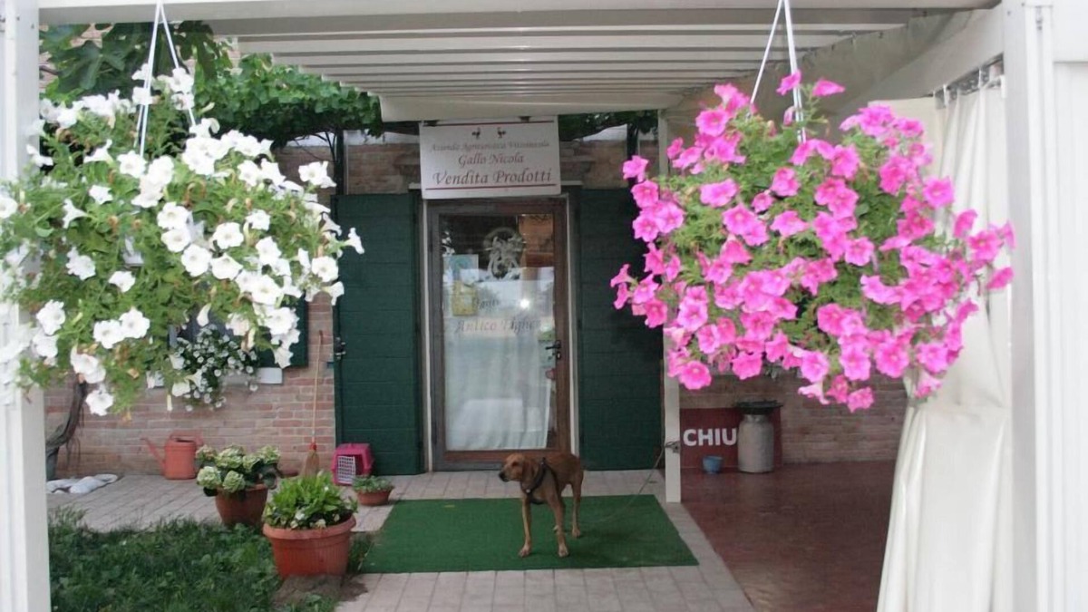 Musile di Piave Other | Locanda Antico Fighèr