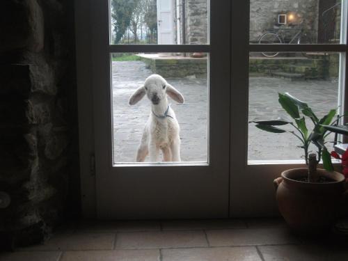 Mulazzo Bed & Breakfast | Locanda di Campagna