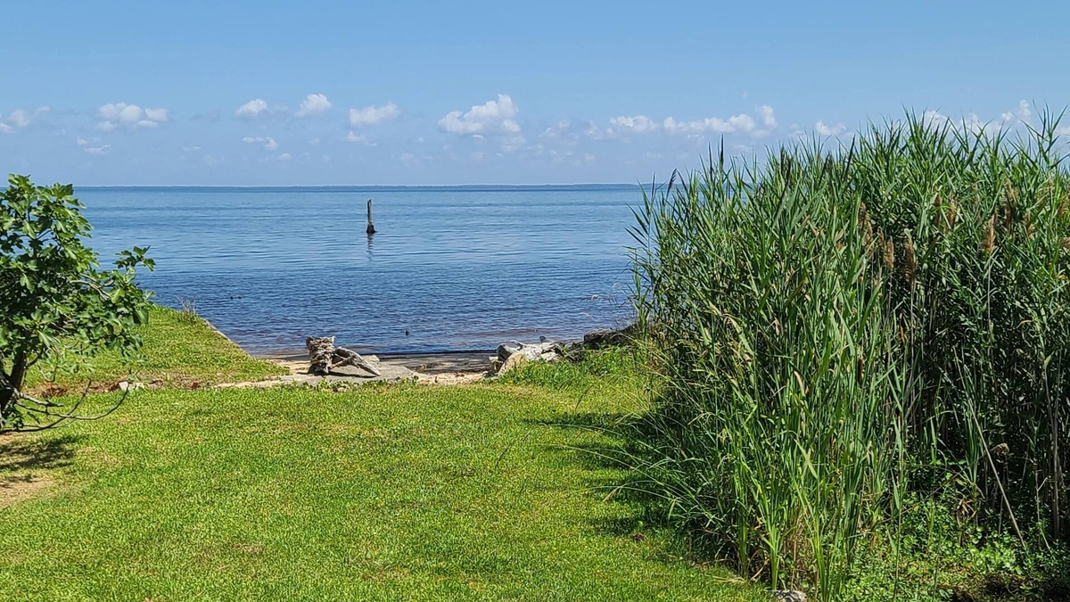 Columbia Cottage | Located on the Albemarle Sound, this family-friendly home has room for everyone!