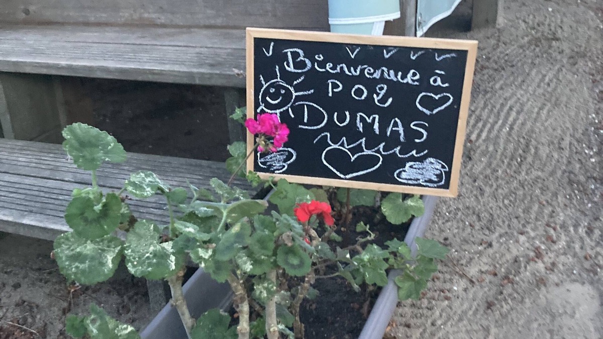 Saint-Georges-de-Didonne House | Location Saisonnière Juillet et Août 2024