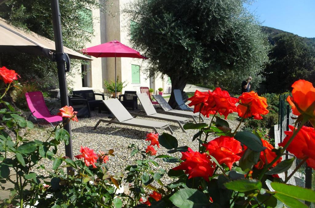 Farinole House | location farinole proche saint-florent