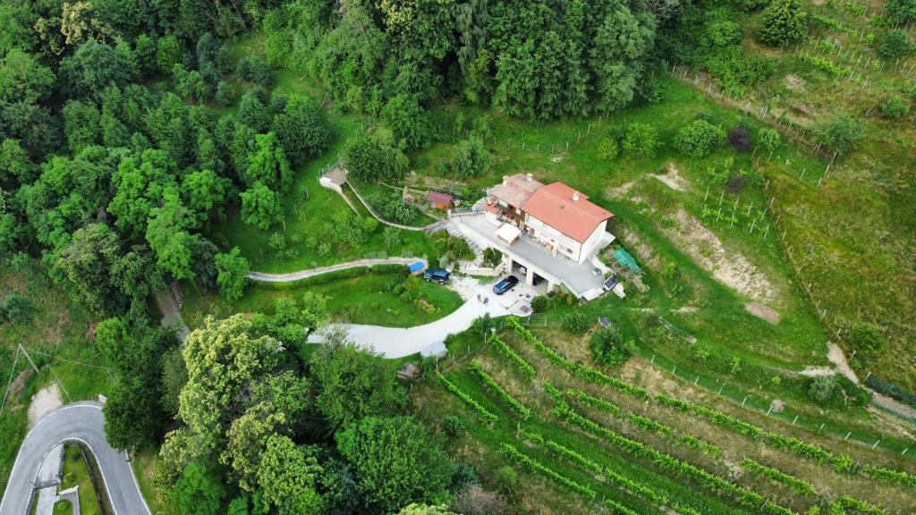Miane Bed & Breakfast | Locazione turista Cocodè