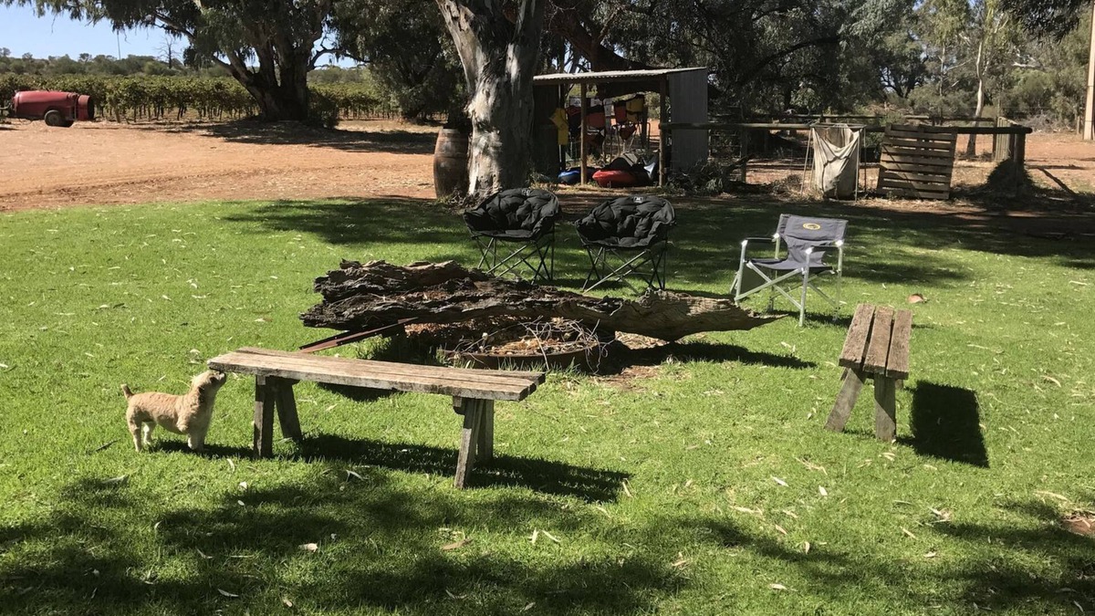 Barmera Cottage | Loch Luna Ecostay Shack