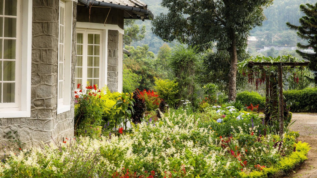 Devikolam Cabin | Lockhart Bungalow Munnar CGH Earth