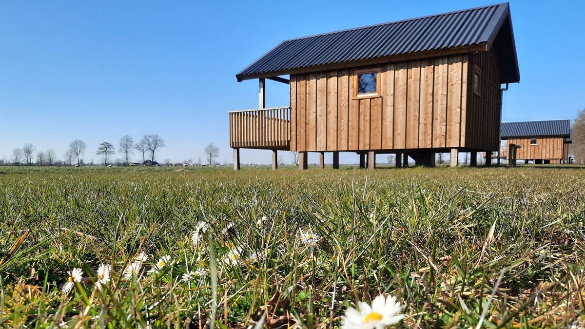 Ruinerwold House | Lodge by Dutch Meadows with Scenic Veranda
