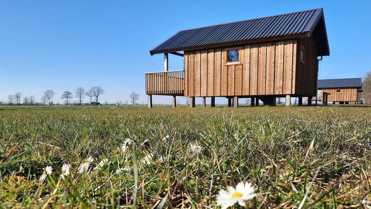 Ruinerwold House | Lodge in Drenthe with Scenic Veranda
