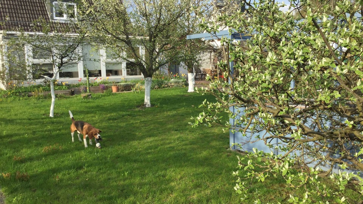 Lubeck City Centre Apartment | "lodge one"