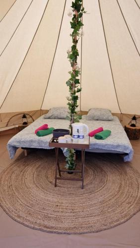 Roquefeuil Bed & Breakfast | Lodge tente les pommiers Glamping Ô rendez-vous en demi-pension