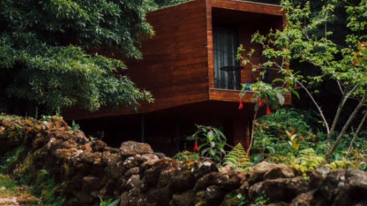 Biscoitos Cabin | (Lodge Vista Floresta)