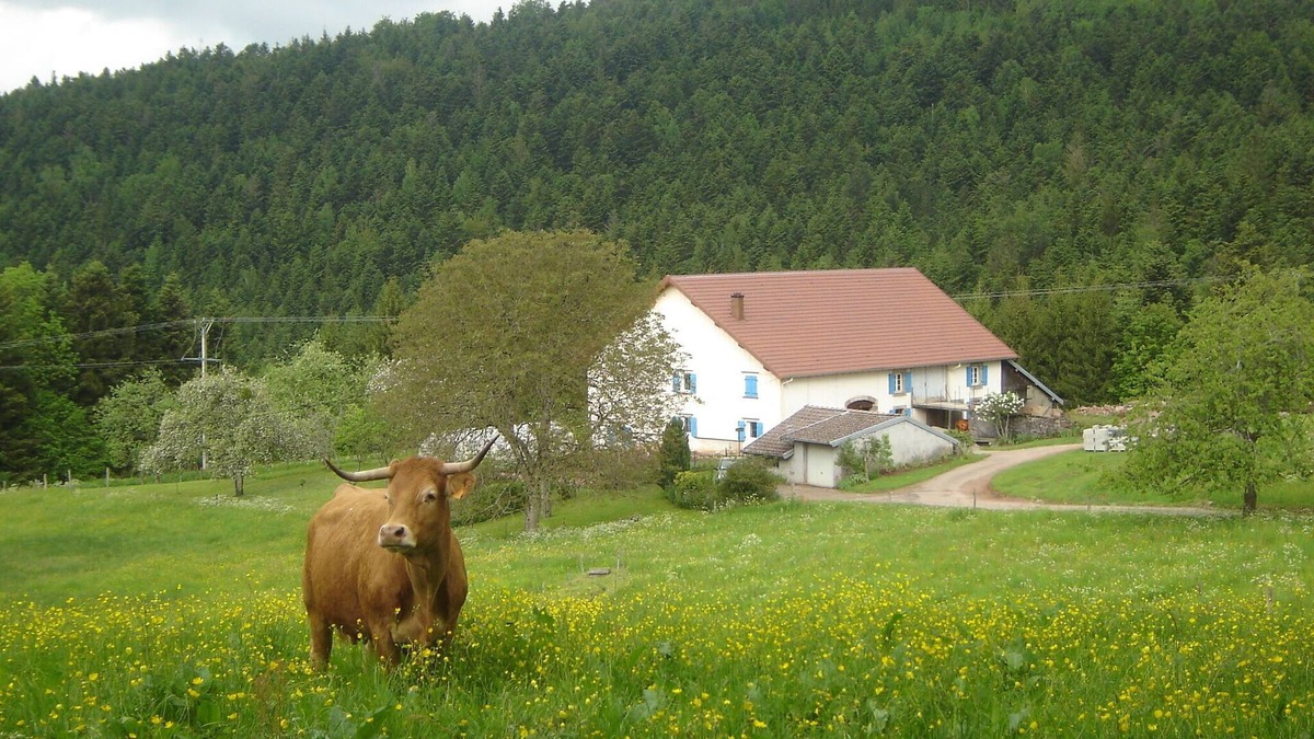 Girmont-Val-d'Ajol Cottage | Lodging in the heart of nature between forests and meadows