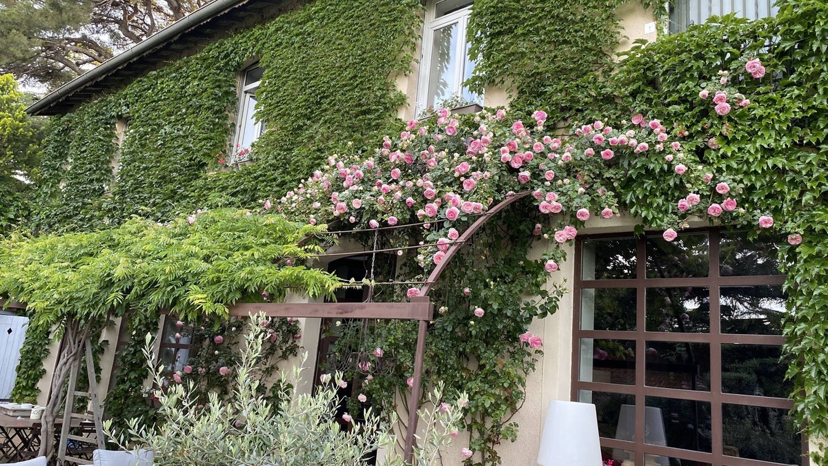 Mont Duplan House | Loft city heart Nimes