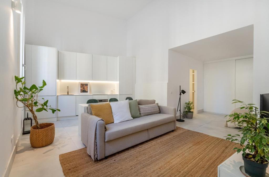 Numancia Apartment | Loft in the city