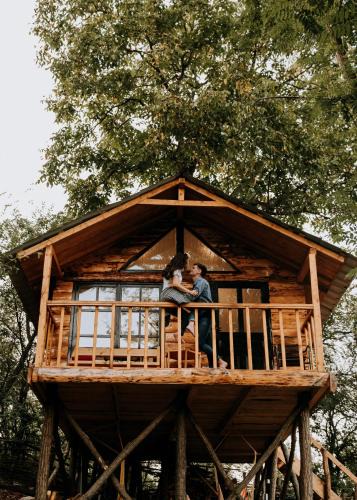 Pesteana Other | Loft Treehouse