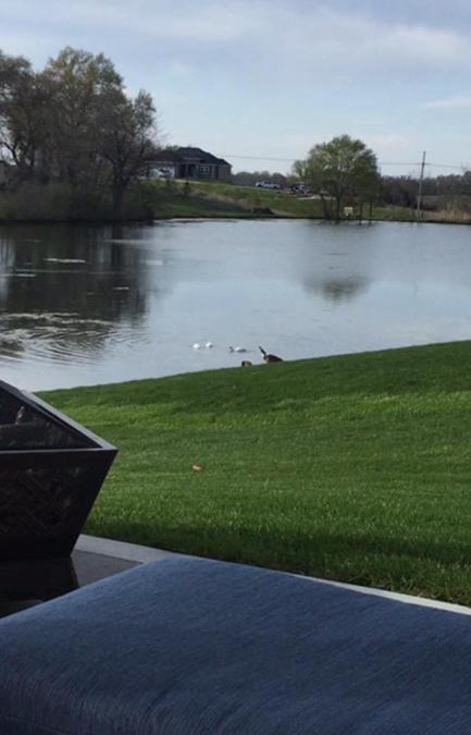 I-435 West KC-KS Bed & Breakfast | Lofthouse