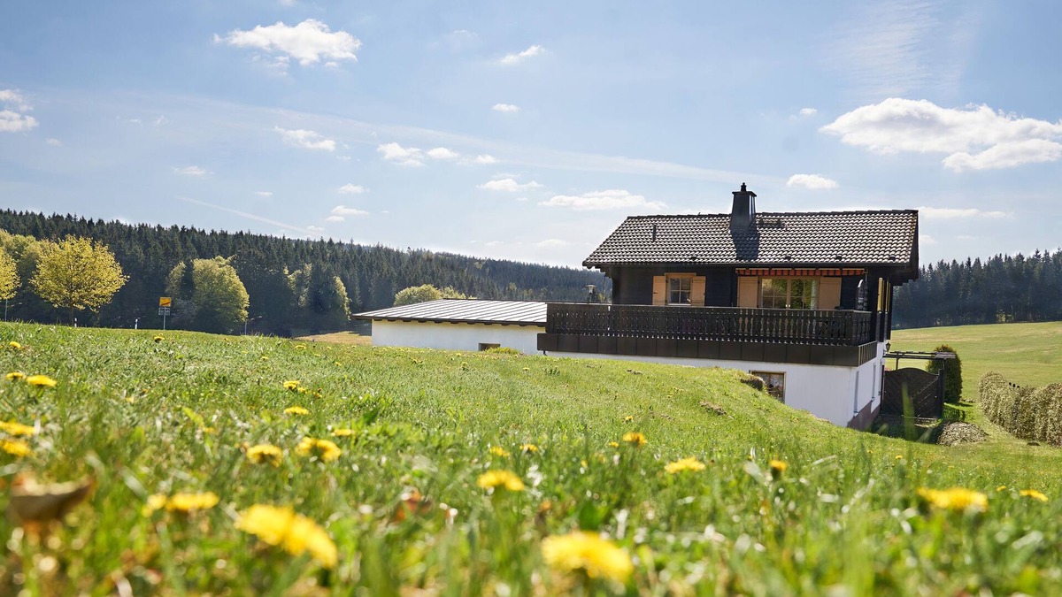 Vesser Apartment | Log cabin flair in the middle of mountain meadows and forest, huge terrace and garden