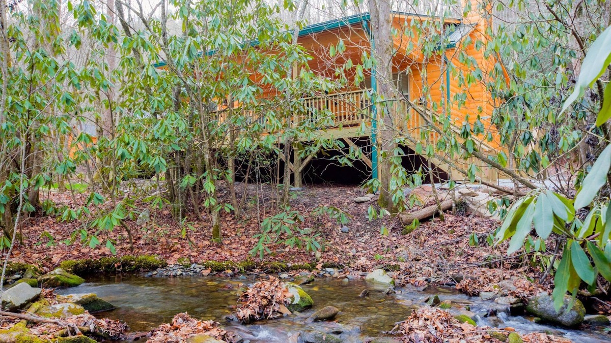 Andrews Cabin | Log cabin nestled in the mountains and situated on Collett Creek