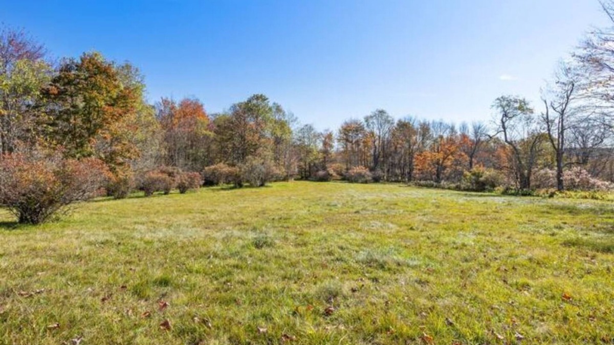 Parksville Cabin | Log Cabin on 120 Acres & Spring-Fed Pondn