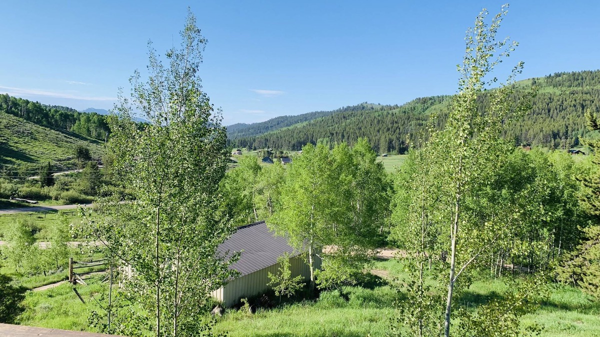 Red Top Meadows House | Log cabin on 5 acres in Wilson Wyoming