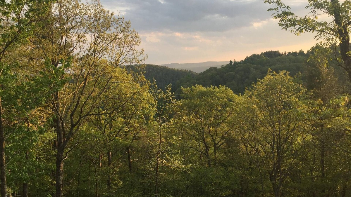 Laurel Springs House | Log Cabin on 9 private acres on Blue Ridge Parkway with gorgeous views