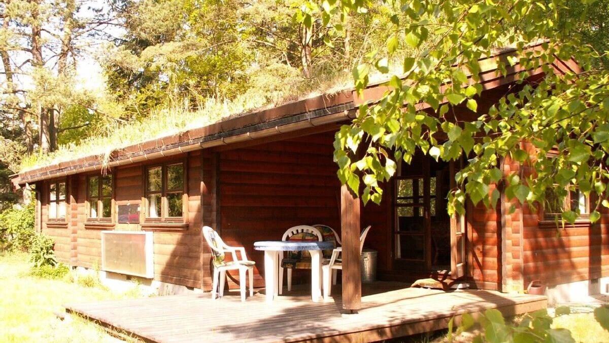 Frederiksvaerk Cabin | Log cabin on a 2000 m² nature estate, only5 km to the sea