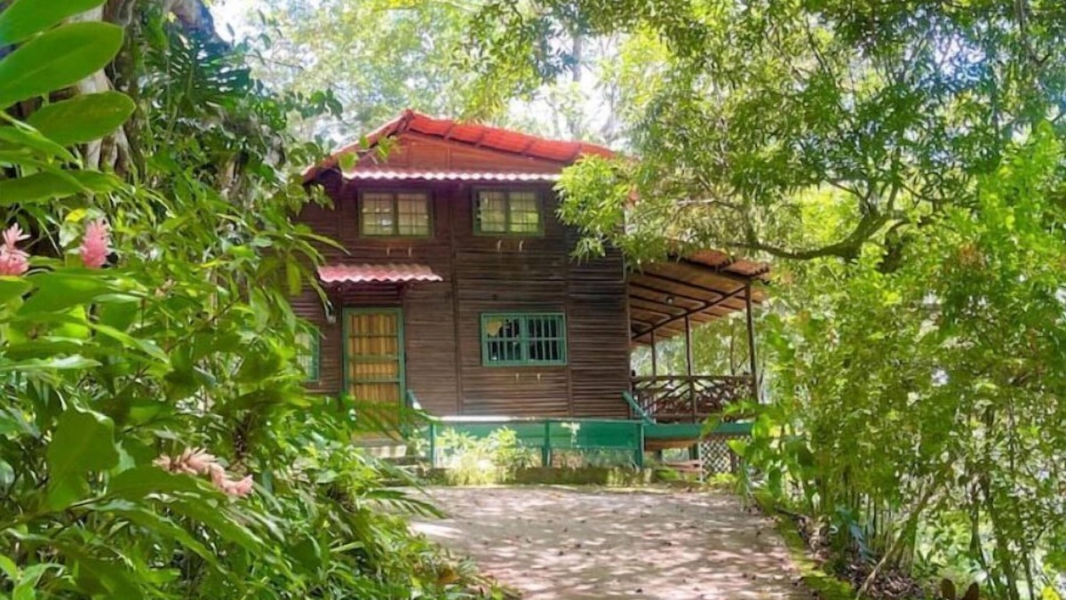 Desamparaditos Cabin | Log cabin. Wooden soul dressed in jungle pet friendly