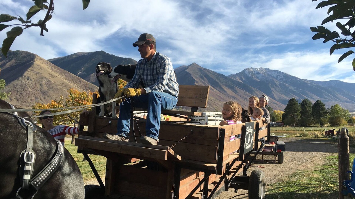 Spanish Fork Cabin | Log Home on 17 acre farm